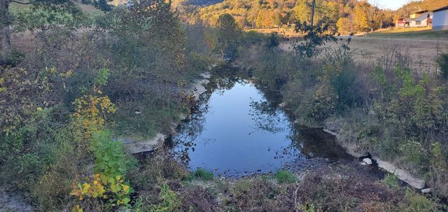 0 Wartrace Hwy, Pleasant Shade, TN 37145