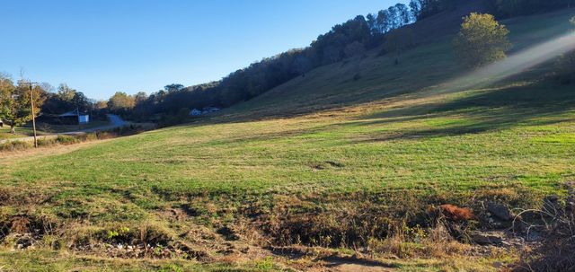 0 Wartrace Hwy, Pleasant Shade, TN 37145