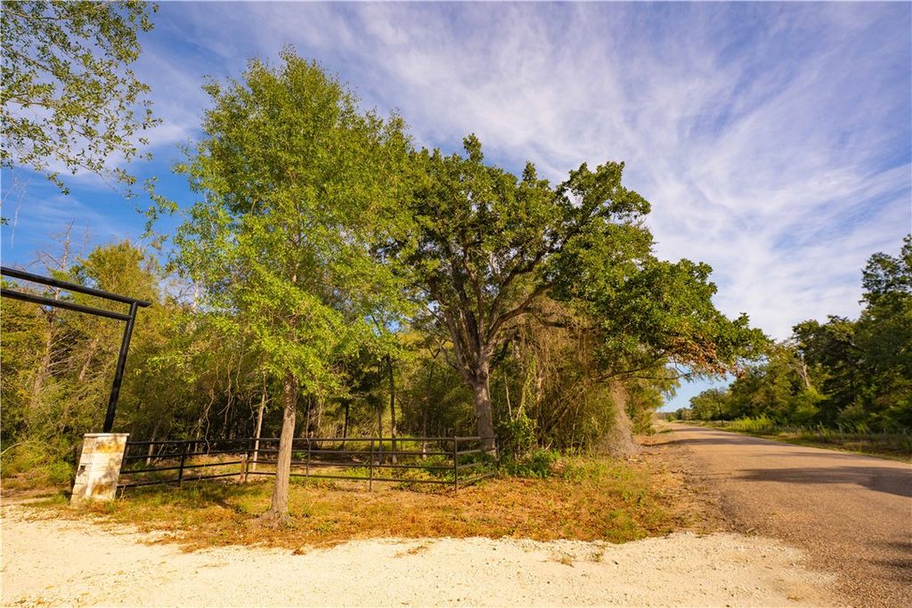 12504 Red Hill Rd Lot 6, Hearne, TX 77859 — photo 2