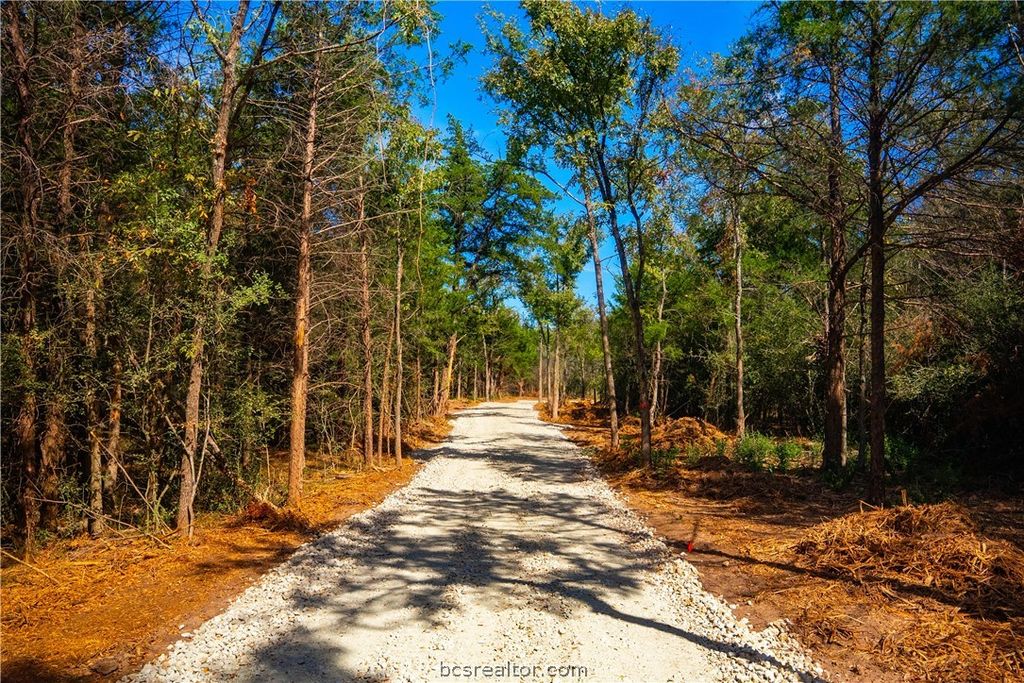 12504 Red Hill Rd Lot 6, Hearne, TX 77859 — photo 3