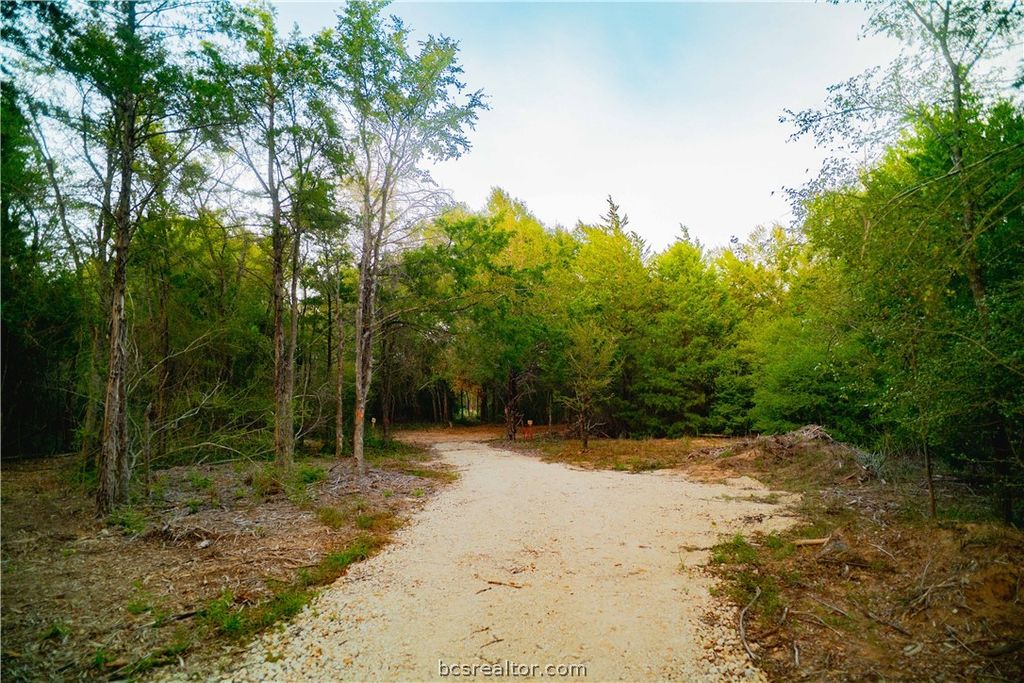 12504 Red Hill Rd Lot 6, Hearne, TX 77859 — photo 4