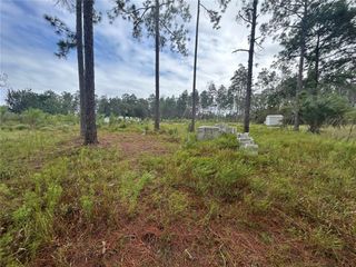 TULIP AVENUE, Eustis, FL 32736