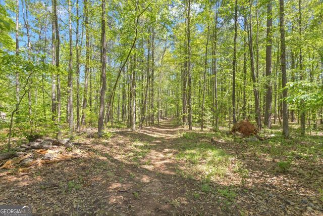 130 Sam Solomon Road, Locust Grove, GA 30248