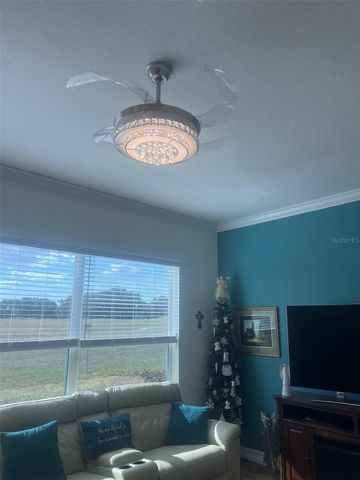 11750 SE 178TH STREET, Summerfield, FL 34491