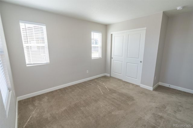 3074 Distant Rock Avenue, Castle Rock, CO 80109