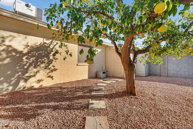 6204 S COLLEGE Avenue, Tempe, AZ 85283
