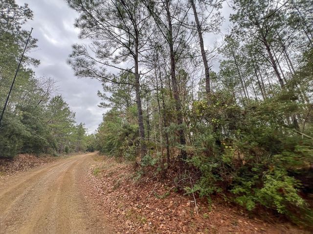 T-4 County Road 1019, Newton, TX 75966