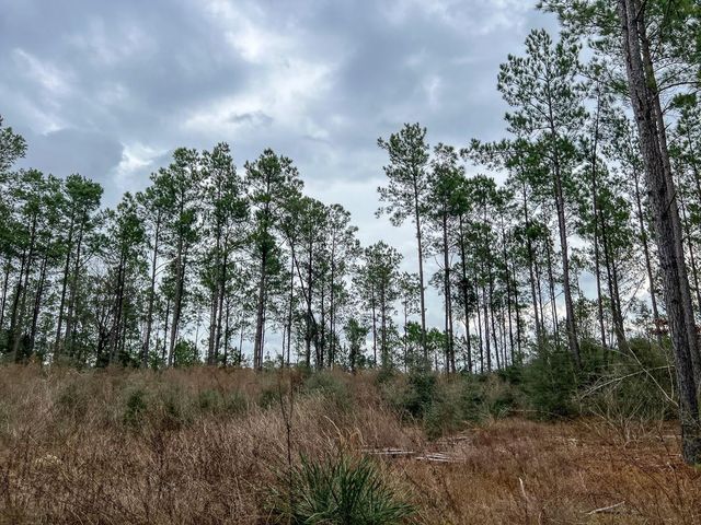 T-4 County Road 1019, Newton, TX 75966