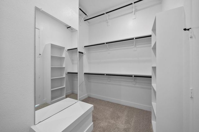 17219 Gleeful Street, Hockley, TX 77447