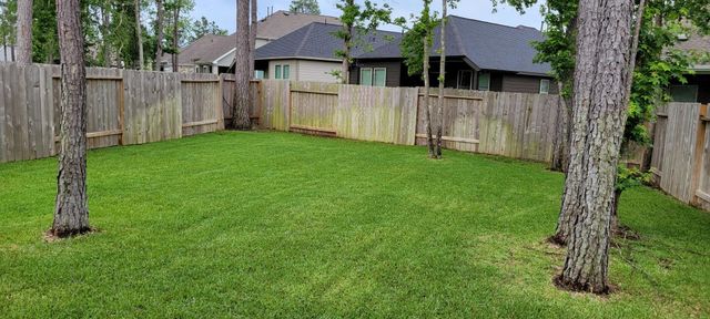 405 Rise Lane, Woodforest, TX 77316
