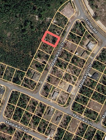 MALAUKA LANE COURT, Ocklawaha, FL 32179