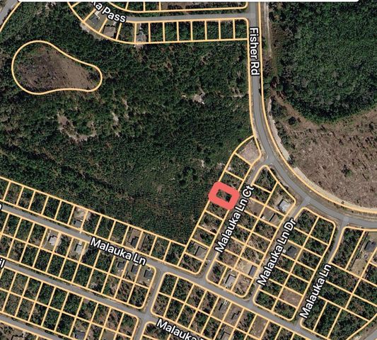 MALAUKA LANE COURT, Ocklawaha, FL 32179