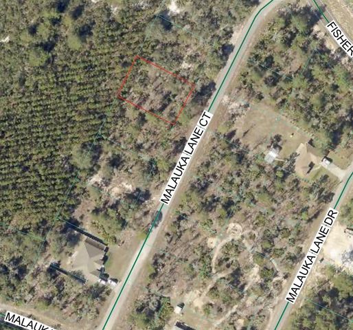 MALAUKA LANE COURT, Ocklawaha, FL 32179