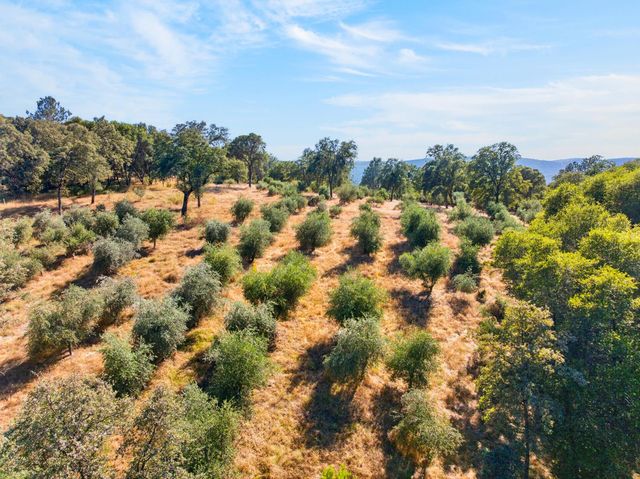 4000 Twin Ridges Rd, Placerville, CA 95667