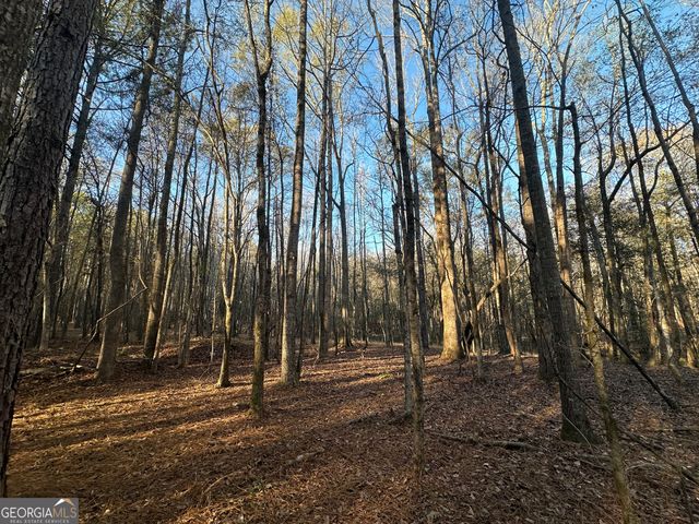 3016 Trammell Bottom Road, Hogansville, GA 30230