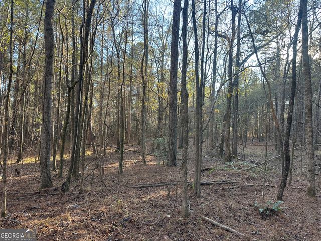 3016 Trammell Bottom Road, Hogansville, GA 30230