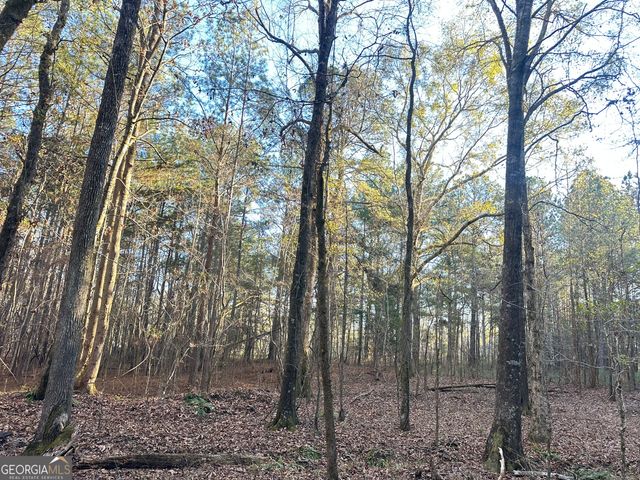 3016 Trammell Bottom Road, Hogansville, GA 30230