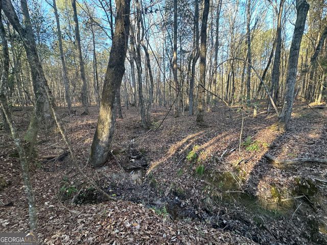 3016 Trammell Bottom Road, Hogansville, GA 30230