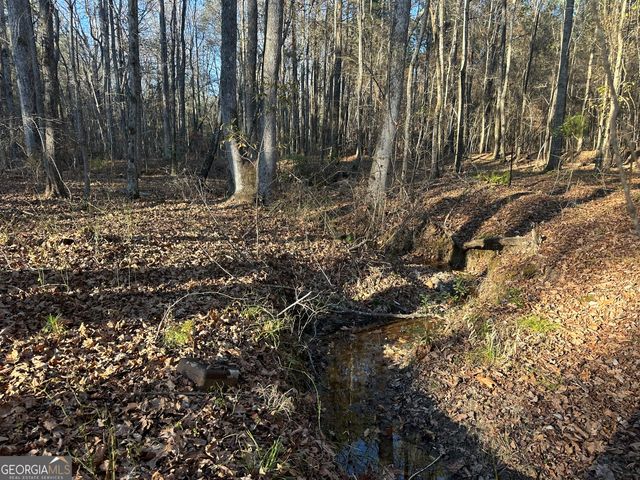 3016 Trammell Bottom Road, Hogansville, GA 30230