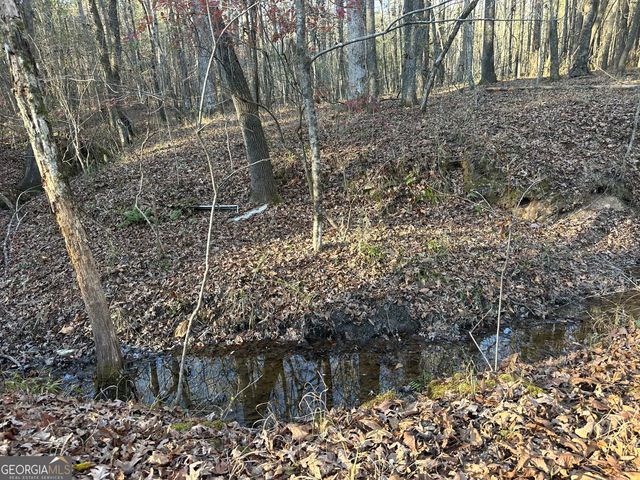 3016 Trammell Bottom Road, Hogansville, GA 30230