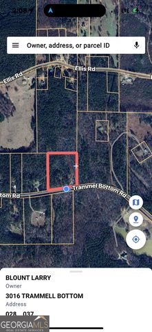 3016 Trammell Bottom Road, Hogansville, GA 30230