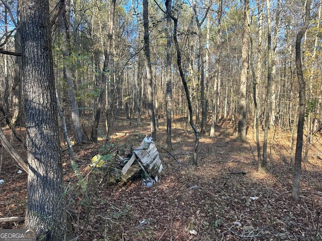 3016 Trammell Bottom Road, Hogansville, GA 30230