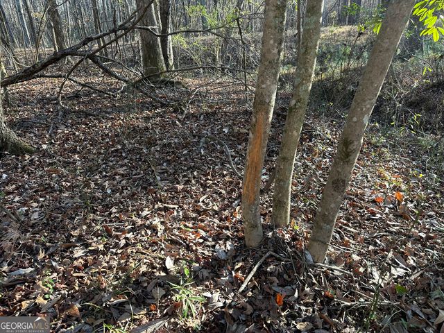 3016 Trammell Bottom Road, Hogansville, GA 30230