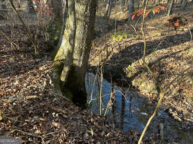 3016 Trammell Bottom Road, Hogansville, GA 30230