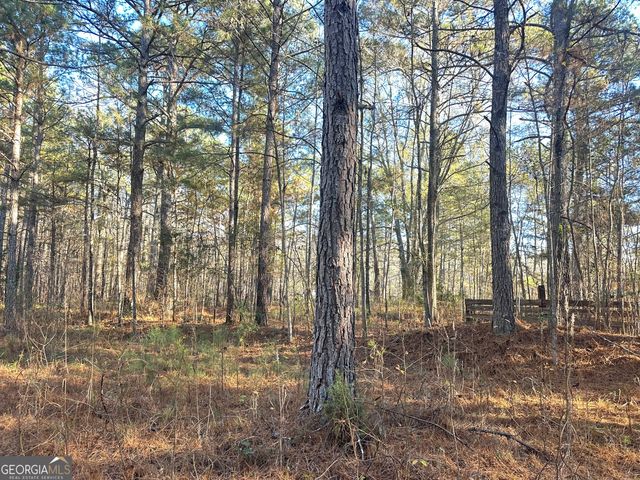 3016 Trammell Bottom Road, Hogansville, GA 30230