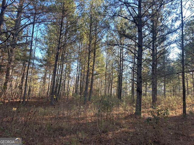 3016 Trammell Bottom Road, Hogansville, GA 30230