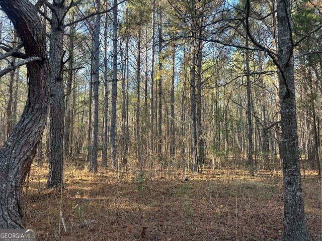 3016 Trammell Bottom Road, Hogansville, GA 30230