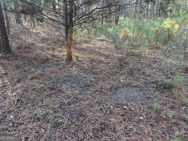 3016 Trammell Bottom Road, Hogansville, GA 30230