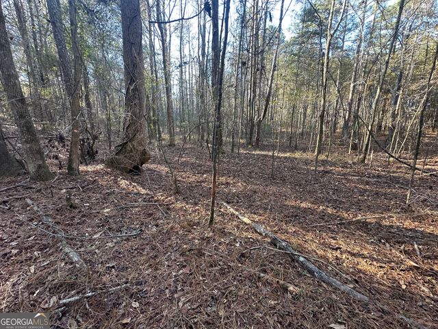 3016 Trammell Bottom Road, Hogansville, GA 30230