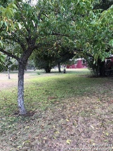 580 CR 663, Devine, TX 78016