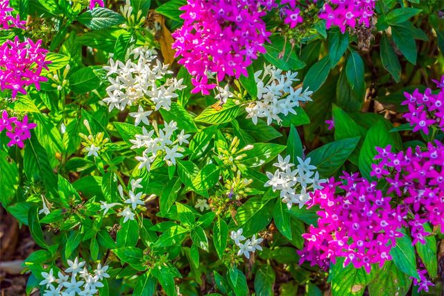 5709 TIDEWATER PRESERVE BOULEVARD, Bradenton, FL 34208