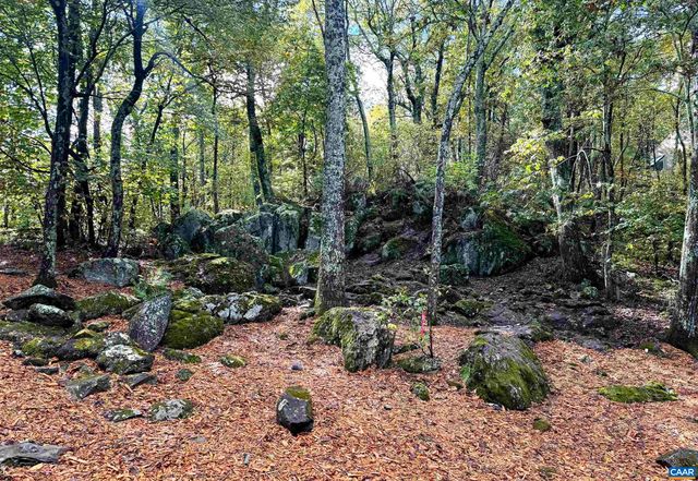 20 BUCKHORN LN, Wintergreen Resort, VA 22967