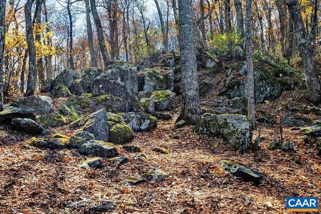 20 BUCKHORN LN, Wintergreen Resort, VA 22967