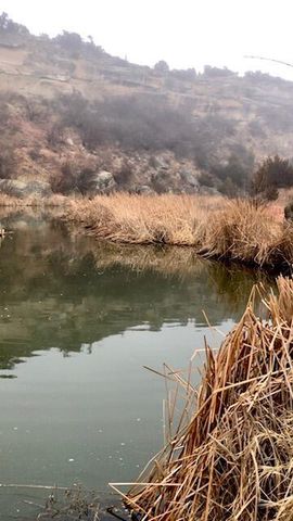 11840 Wild Horse Trail, Amarillo, TX 79118