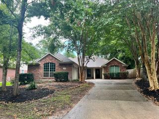 22 Quince Tree Place, The Woodlands, TX 77385