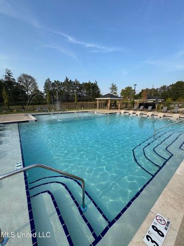 52 Spirit Dance Drive, Byhalia, MS 38611