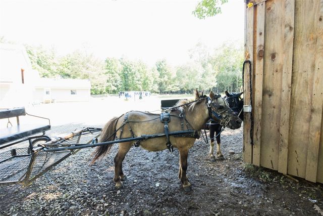 14790 SPRING CREEK Road, Titusville, PA 16354