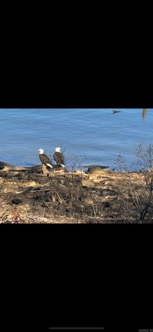 760 Davidson Circle, Greers Ferry, AR 72067