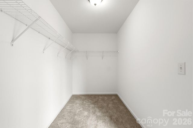 9104 Maidenhair Court, Charlotte, NC 28215