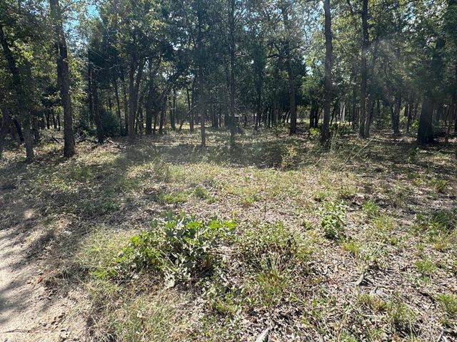 [Lot 1] 000 Jordan LN, Elgin, TX 78621
