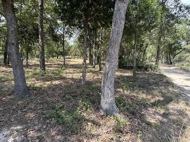 [Lot 1] 000 Jordan LN, Elgin, TX 78621