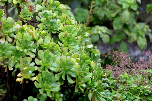 3081 3081 23rd Avenue, Oakland, CA 94602