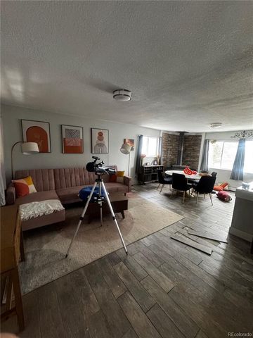 949 S Pine Drive, Bailey, CO 80421