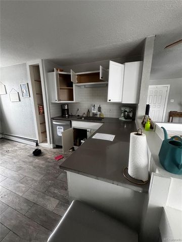 949 S Pine Drive, Bailey, CO 80421