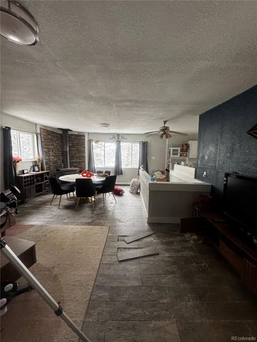 949 S Pine Drive, Bailey, CO 80421
