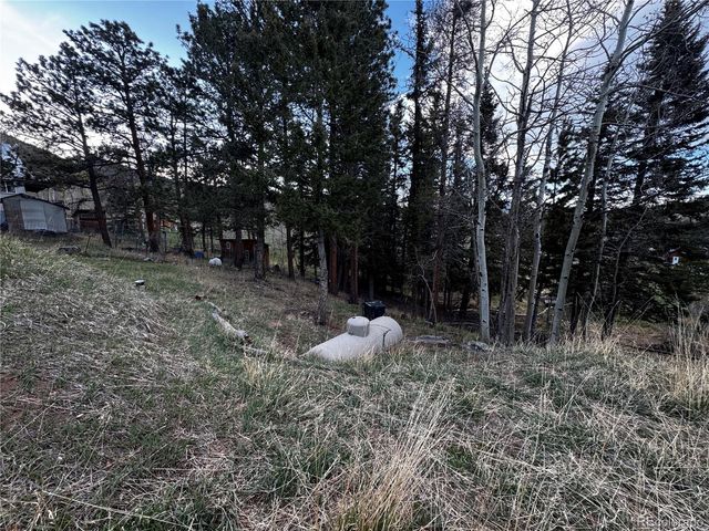 949 S Pine Drive, Bailey, CO 80421
